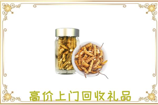 昆明市周边回收虫草